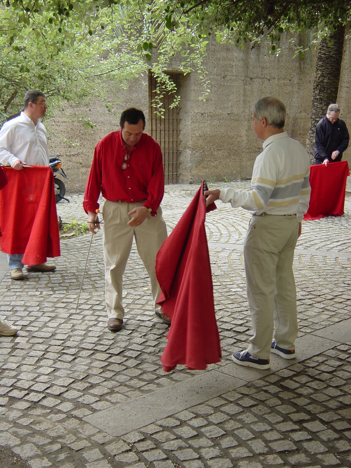 toreo de salon 2 (1)